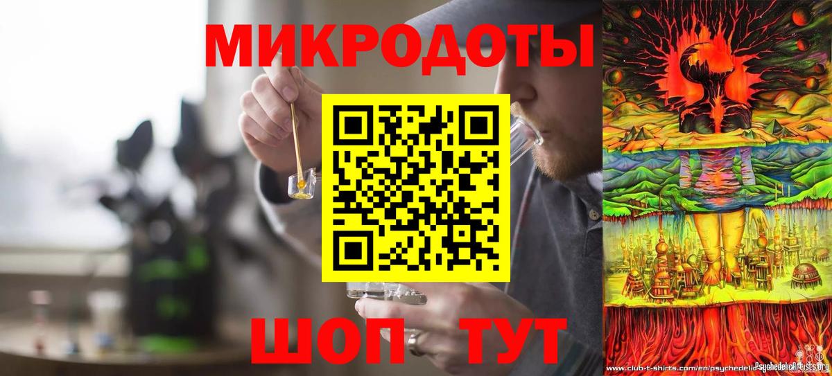 Псилоцибиновые грибы Psilocybe Узловая