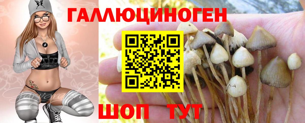 Узловая  Галлюциногенные грибы Cubensis  Вход с VPN  Псилоцибиновые грибы Cubensis 